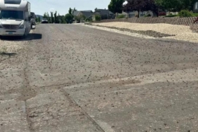 ABD’de bir şehri böcekler sardı! Halk 'kıyametin habercisi' dedi!