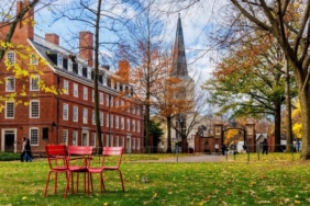 Harvard’tan Trump’a dava! Üniversite federal mahkemeye başvurdu