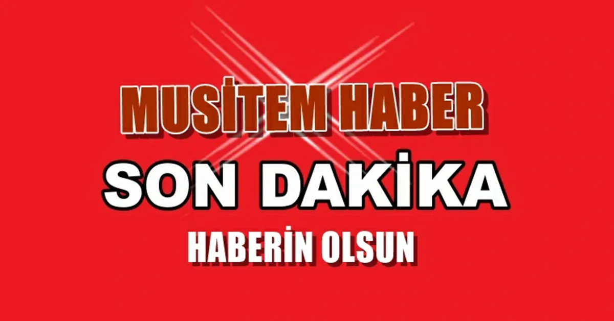 sovdhhh4545